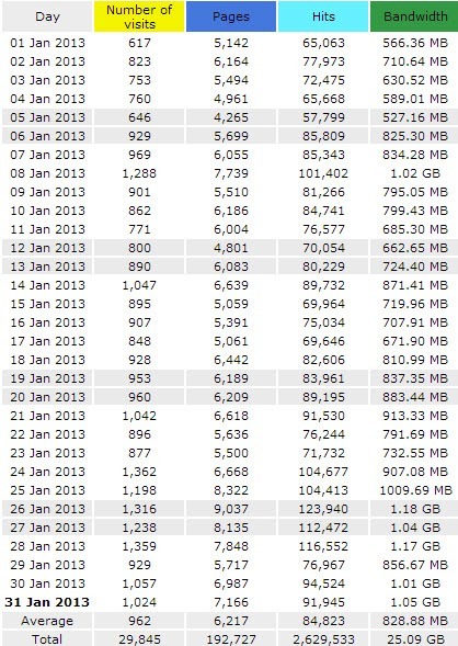 January Daily Traffic