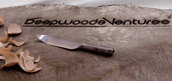 Deepwood Ventures Deepwood Ventures